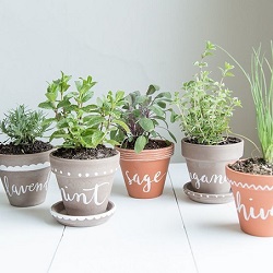 DIY-label-herb-planters-via-Jessica-Coco-and-Mingo-for-Bodhiluxe