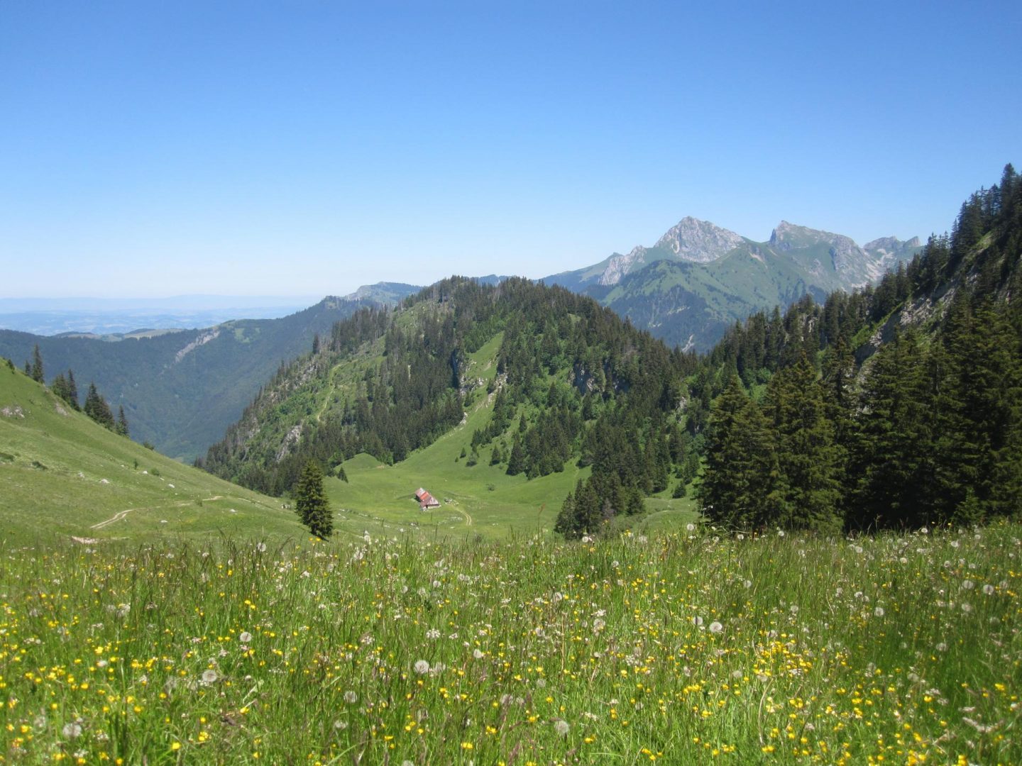Win a summer chalet adventure in the French Alps with AliKats Mountain Holidays