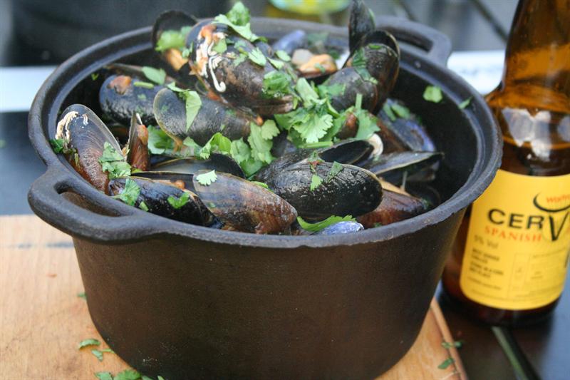 Recipe: The Guyrope Gourmet’s mussels with beer and coriander