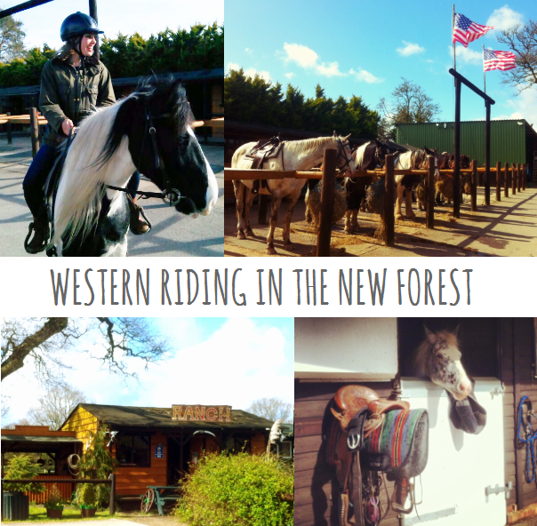 Western riding in the New Forest
