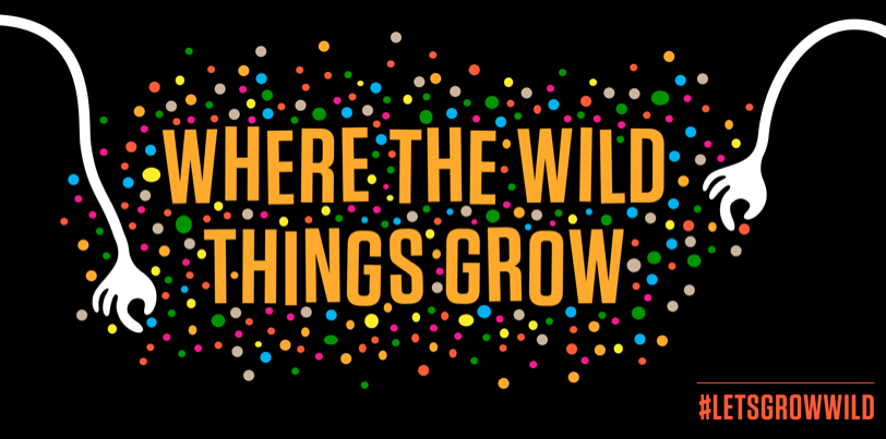 Let’s Grow Wild: interview and competition