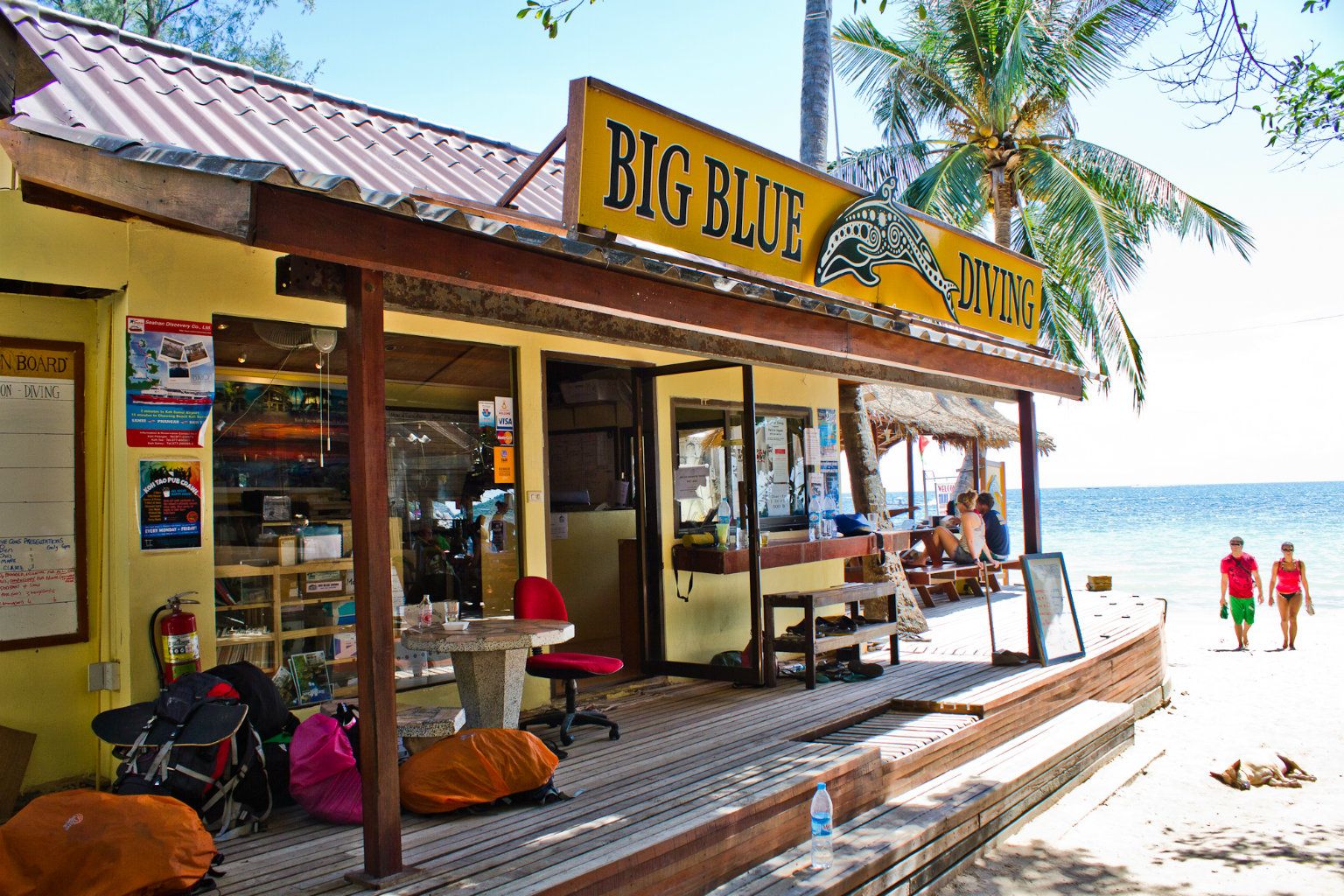 Big Blue Diving review - review of diving school Koh Tao Thailand