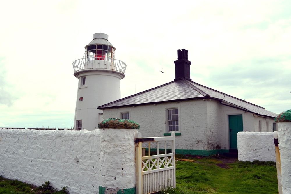 visit the Farne Islands, Northumberland