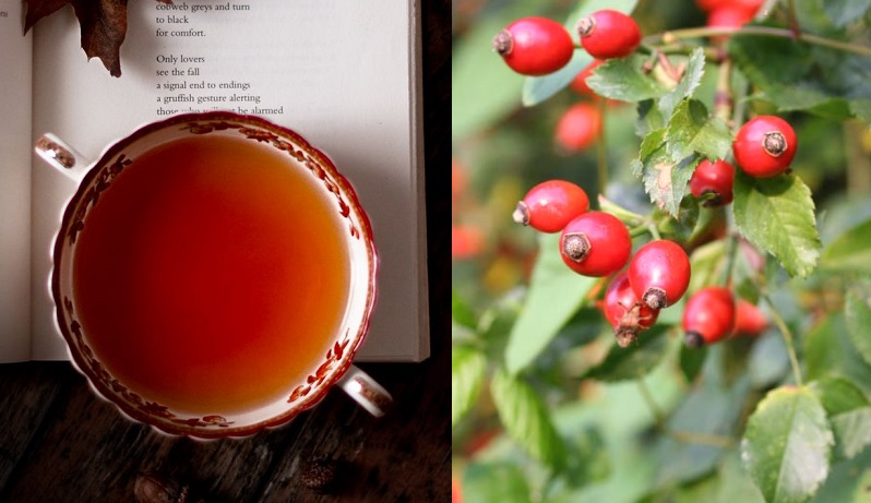 Recipe: foraged rosehip tea