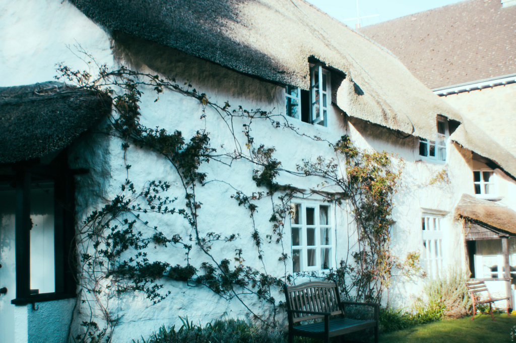 Places to stay: Little Holme cottage, Dartmoor