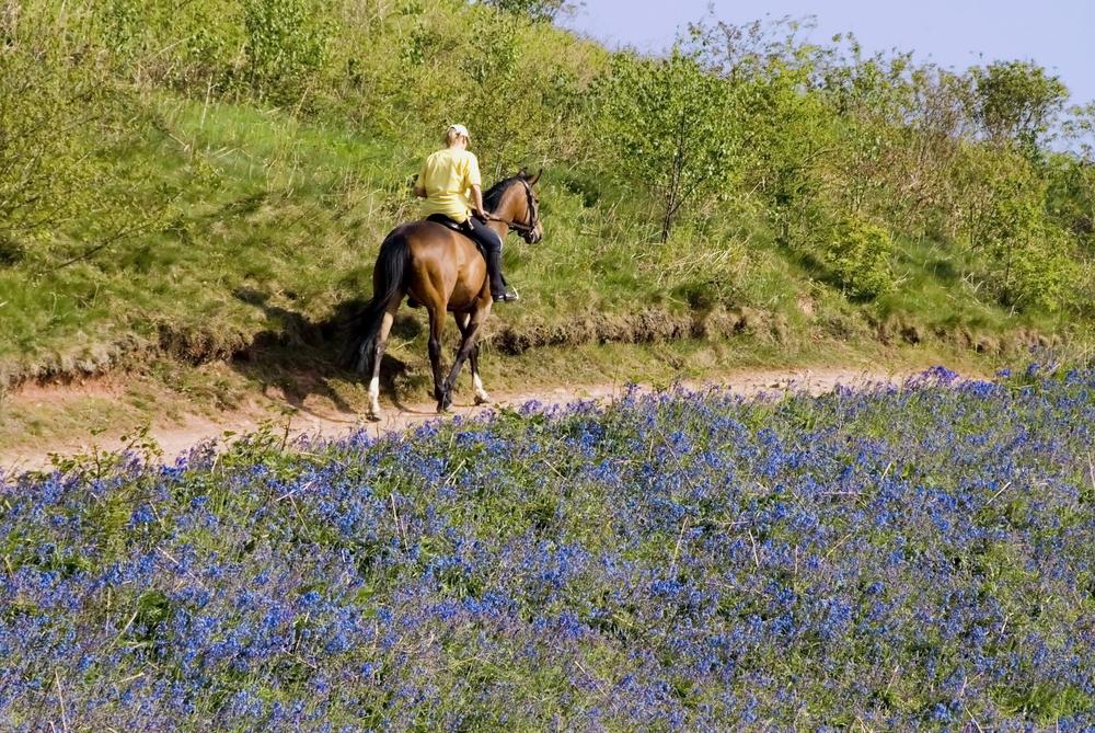 Best UK horse riding trails