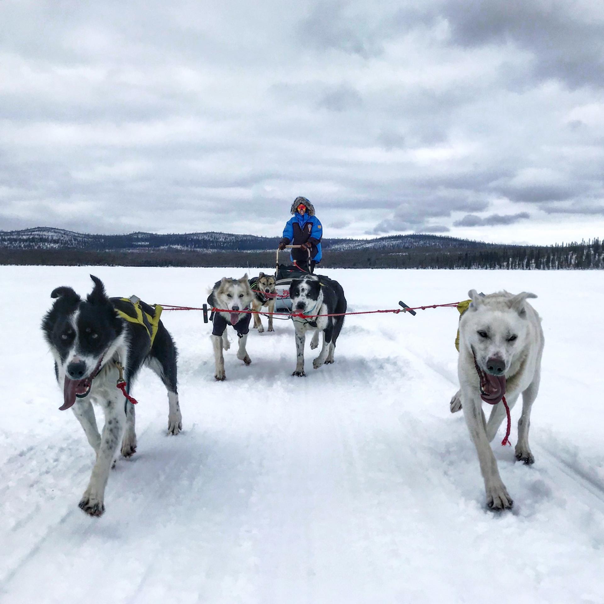 Arctic Adventure: What it’s like to join the Fjällräven Polar expedition