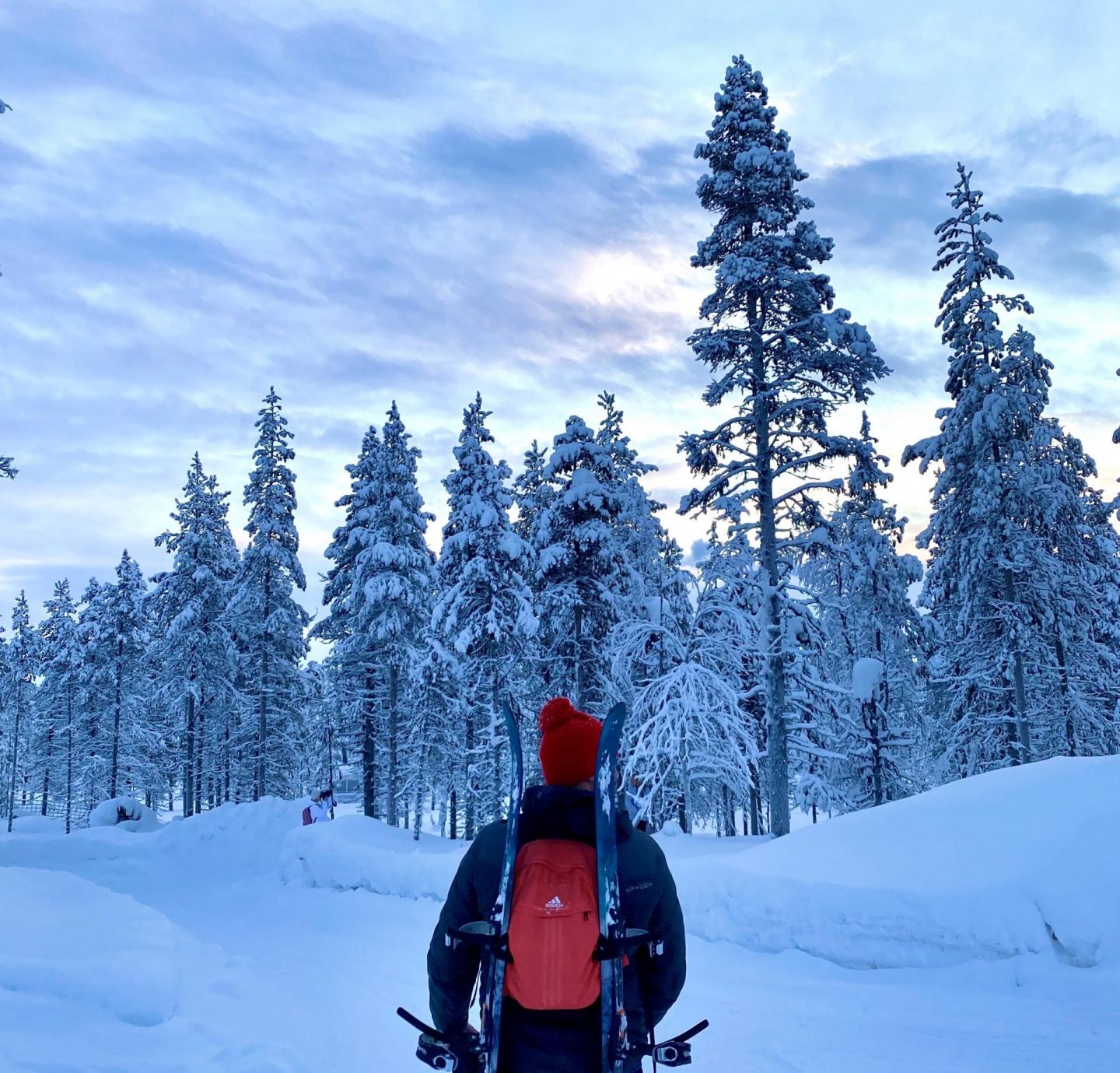 A Lapland adventure with Inghams