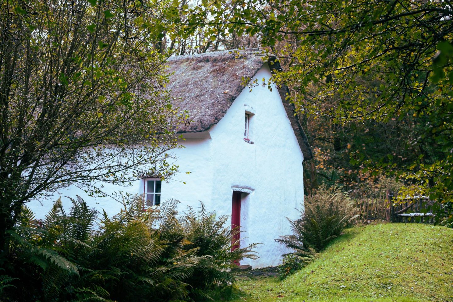 Review: Coastal Cottage Ceredigion | Woodland cottage near the coast and Pembrokeshire, bookworm's cottage with hidden reading nook