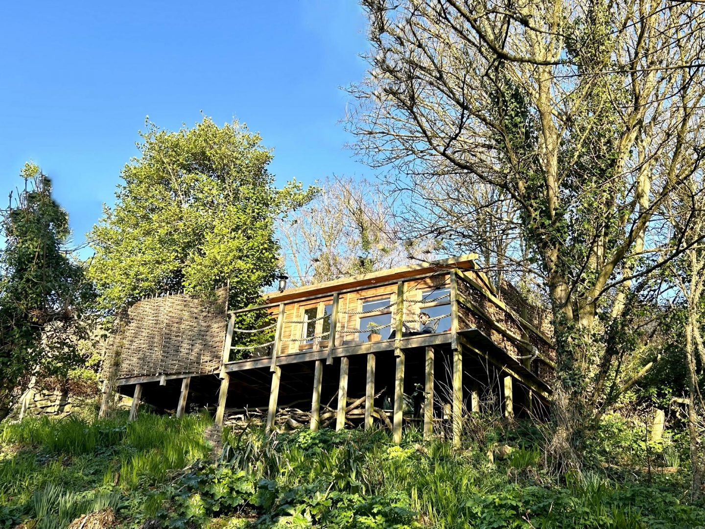 Special places to stay: Tree Tops Cabin in Cornwall with Unique Hideaways