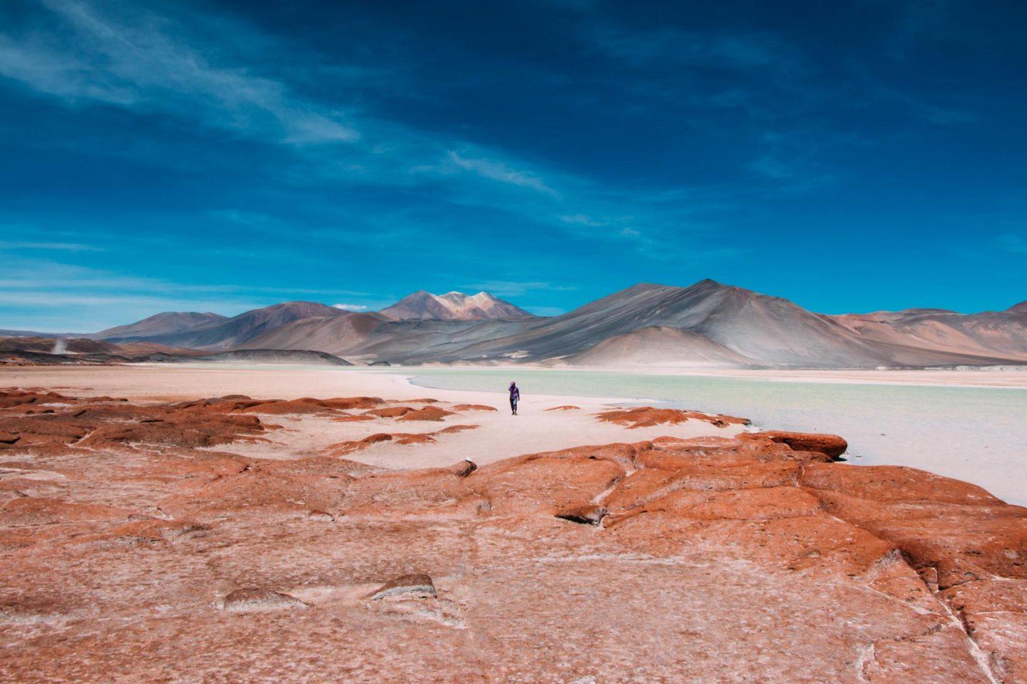 Seven Bucketlist Adventures in Latin America | Hike the Atacama Desert, explore Brazil's Pantanal, Day of the Dead in Mexico